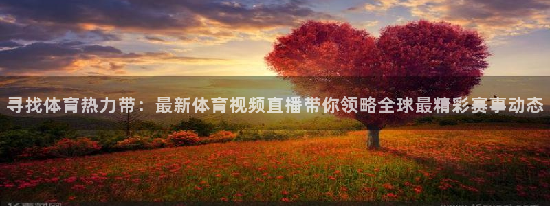 寻找体育热力带：最新体育视频直播带你领略全球最精彩赛事动态
