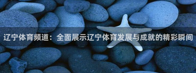 辽宁体育频道：全面展示辽宁体育发展与成就的精彩瞬间