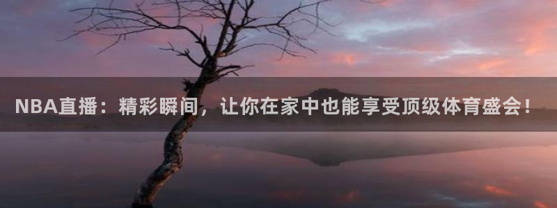 NBA直播：精彩瞬间，让你在家中也能享受顶级体育盛会！