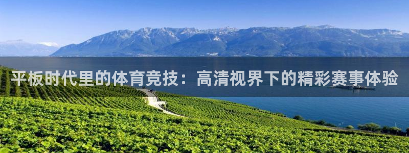 平板时代里的体育竞技：高清视界下的精彩赛事体验