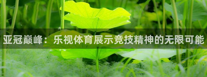 亚冠巅峰：乐视体育展示竞技精神的无限可能